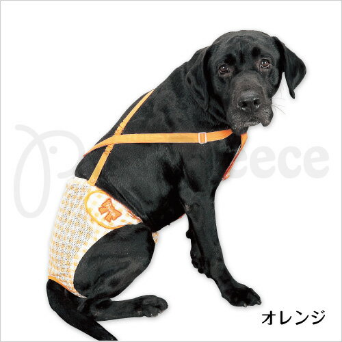 【ポンポリース】中・大型犬用ダイパー型メッシュチェックサニタリーパンツ　8号\3,150円以上で送料無料！