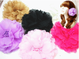 v[cRT[WKS-118@y[֕sz