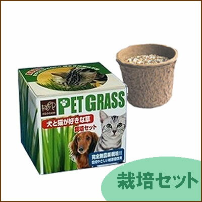 【エイムクリエイツ】　犬と猫が好きな草　栽培セット【5000円以上で送料無料】