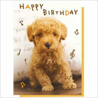 ミュージックカード　誕生日祝い　プードル【プードル/雑貨/カード/グリーティングカード/ステーショナリー/グッズ/犬/ドッグ】プレゼントに添えて・・・メロディーが流れるお誕生日カード。