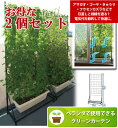 【最終処分セール】 お得な2個セット【つる巻き植物