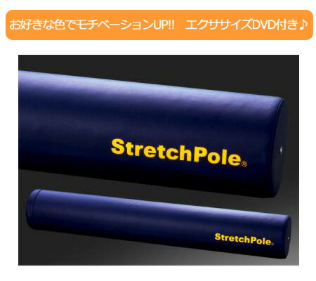 【メーカー1年保証DVD付正規品】LPN ストレッチポール EX（Stretch Pole EX）カラー：ネイビー