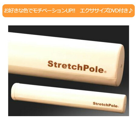 【エクササイズDVD付正規品】人気！LPN製　ストレッチポール EX　（Stretch P…...:powerstep:10006579