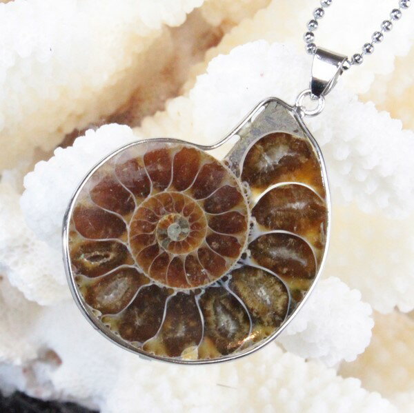 アンモナイト ペンダント｜Ammonoidea Ammonite アンモナイト 化石 アン…...:powerstone-lulu:10003841