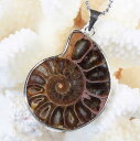 アンモナイト ペンダント|化石 アンモン貝 アンモナイト Ammonoidea Ammonite マリエラ 菊石 fossil【ペンダント ネックレス Pendant Necklace チャーム Charm 首飾り 首輪】メンズ レディース 限定 一点物 アンモナイト