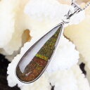 アンモライト ペンダント|ammonite カルセンティン ammolite アーポアク コーライト アンモライト【Charm Pendant 首飾り ペンダント ネックレス シルバー Silver Necklace】メンズ レディース 限定 一点物 アンモライト