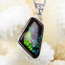 アンモライト ペンダント|コーライト アンモライト ammonite ammolite アーポアク カルセンティン【首飾り ネックレス シルバー チャーム Charm ペンダント Pendant Silver Necklace】メンズ Men's レディース Ladies 限定 一点物 アンモライト