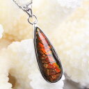 アンモライト ペンダント|コーライト ammonite ammolite アーポアク カルセンティン アンモライト【首飾り Pendant Silver チャーム Charm ペンダント ネックレス シルバー Necklace】メンズ Men's レディース Ladies 限定 天然石 アンモライト