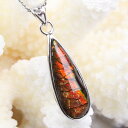 ACg y_gbR[Cg ammonite ammolite A[|AN JZeB ACgy Pendant Silver `[ Charm y_g lbNX Vo[ NecklacezY Men's fB[X Ladies  VR ACg