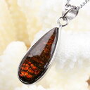 アンモライト ペンダント|アンモライト ammolite アーポアク コーライト ammonite カルセンティン【Charm ペンダント ネックレス シルバー Pendant 首飾り チャーム Silver Necklace】メンズ レディース パワーストーン 天然石 激安 アンモライト