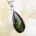 ACg y_gbR[Cg ammonite ammolite A[|AN JZeB ACgyCharm y_g lbNX Vo[ Pendant Silver NecklacezY Men's fB[X Ladies  _ ACg