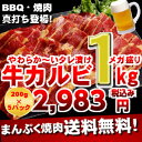 02P23Sep15焼肉カルビジューシースライス バーベキュー 焼肉