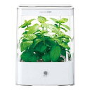 【送料無料】水耕栽培 キット led 水耕栽培器 ユーイング UH-CB01G1(W) ホワイト GreenFarm CUBE(グリーンファーム キューブ) 家庭菜園 自然 彩り 野菜 植物 栽培 収穫 コンパクト おしゃれ インテリア タイマー