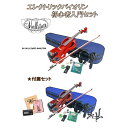 【送料無料】Hallstatt EV-30 (13)SET-DVD/TRD