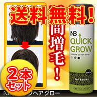 【NBクイックヘアグロー 2本セット】天然“竹炭”の超微粉末（1ミクロン）が、細くなった髪に素早く密着。ボリュームのある自然な仕上がりに。【RCPsuper1206】【0603superP10】