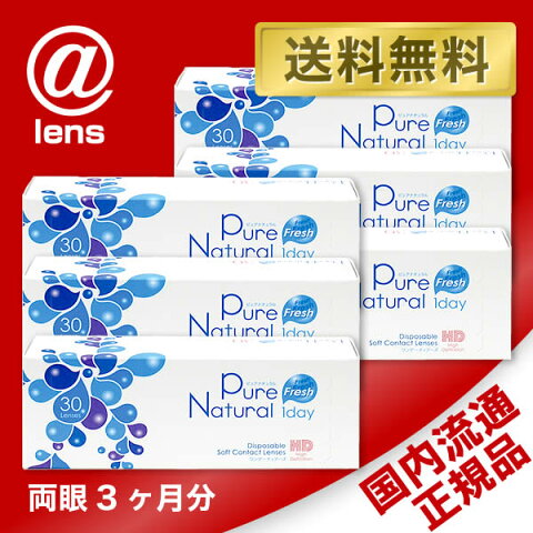 【入浴剤プレゼント】【B1】【送料無料】Pure Natural 1day6箱セット（ピュアナチュラルワンデー）使い捨てコンタクトレンズ 1日終日装用タイプ（30枚入）/株式会社テクノメディカル