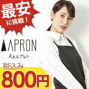 【2枚以上のご購入でお値引き】【速達メール便送料無料】ブラッ...