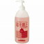 【ポイント10倍】【送料無料】【あす楽】ヘアケア 縮毛矯正ジェル 1000ml(ポンプ付き)