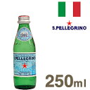 《Sanpellegrino》（サンペレグリノ）炭酸入りナチュラルミネラルウォーター【250ml】