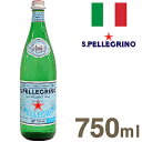 《Sanpellegrino　サンペレグリノ》炭酸入りナチュラルミネラルウォーター【750ml】　