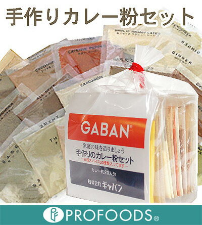 《GABAN》手作りカレー粉セット【100g】【05P123Aug12】　