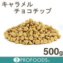 キャラメルチョコチップ【500g】【マラソン201207_食品】【クール便発送商品】