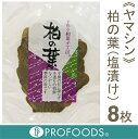 《ヤマシン》柏の葉(塩漬)【8枚】