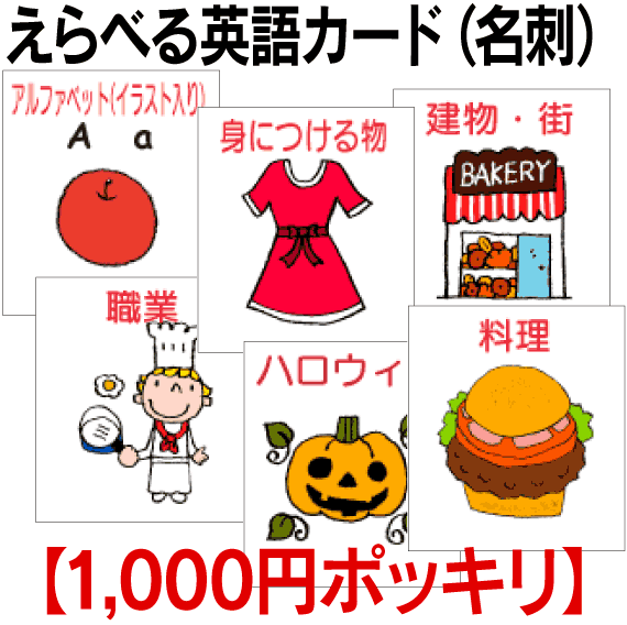 フラッシュカードえらべる英語カード【1,000円ポッキリ】　英語教材 学習 英単語 教育 …...:progami:10000803