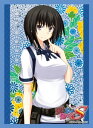 【ネコポス/DM便対応】キャラクタースリーブコレクション 真剣で私に恋しなさい!S「松永 燕」