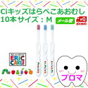 1000円ポッキリ◆送料無料(メール便)◆Ciキッズ はらぺこあおむし 【M(ふつう)】10本セット(色はおまかせ)