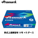 あす楽 送料無料PROMARK・プロマーク 軟式ボール LB-312A 5ダースまとめ買いする方が