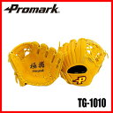 あす楽 送料無料 PROMARK・プロマーク トレーニンググローブ TG-1010-sp(野球 グローブ グラブ 硬式 軟式 練習)