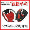 ★あす楽対応品★ 【送料無料】一般用ソフトボールキャッチャー...