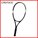★あす楽対応品★【CALFLEX・カルフレックス】 一般用テ...
