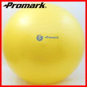 ★あす楽対応品★【PROMARK・プロマーク】 バランスボール55cm レベル1 tpt0251(スポーツ用品 ボール 球 運動用品 インナーマッスル 筋トレ トレーニング 筋肉 器具 ) 02P03Dec16