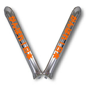 2ܤΥХ롼ǥХХ硪ڥƥåХ롼ۥꥸʥ᥿뿧 1900åȡ 2ȡ