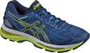 asics(アシックス) GEL-NIMBUS 19-SW (ゲルニンバス 19-SW) ランニングシューズ (4907) TJG753