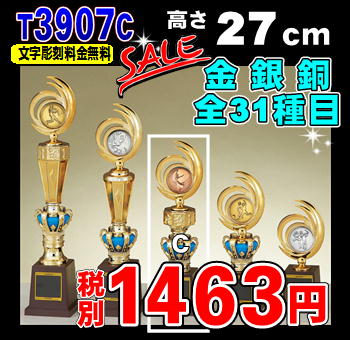 トロフィー【選択型トロフィー】（樹脂製）27cm【卒団　卒業記念品　名入れ】★★サッカー/…...:proof:10000670