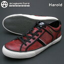 【送料無料】acupuncture(アキュパンクチャー)Harold(ハロルド) A10903 ワイン/ブラックローカット