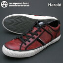 アキュパンクチャー スニーカー Harold(ハロルド) A10903 ワイン/ブラックローカット【送料無料】