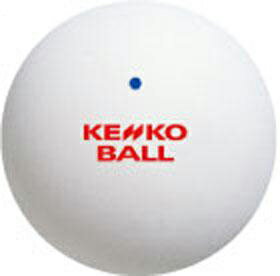ケンコー 公認球 ソフトテニスボール 1ダース　TSOWV
