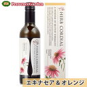 ハーブコーディアル 【 エキナセア & オレンジ 】オーガニック ハーブティー【生活の木】【あす楽】ギフトプレゼント