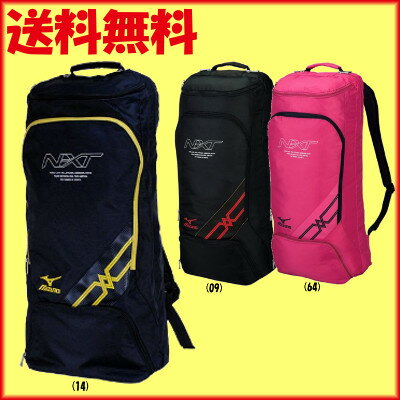 送料無料◆MIZUNO◆2015年12月発売◆ラケットバッグ2本入れ　63JD6020　バ…...:ptennis:10001143