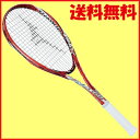 ガット無料◆工賃無料◆送料無料◆MIZU...