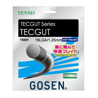 簡易配送可◆GOSEN◆テックガット　16L　TS601　ゴーセン　硬式テニスストリングの画像