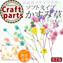 ドライフラワー 高品質 ソフトタイプ かすみ草 全