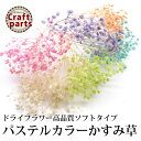 ドライフラワー 高品質 ソフトタイプ パステルカラー かすみ草 全11色