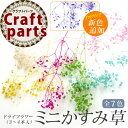 ドライフラワー ミニ かすみ草 3〜4本入 全7色