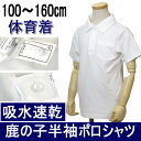 送料無料 綿100% 半袖 ポロシャツ キッズ 白 無地 吸...