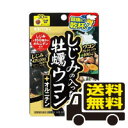 しじみの入った牡蠣ウコン+オルニチン 120粒 送料無料 メール便 サプリ サプリメント お徳用 お徳 うこん しじみ 牡蠣 クルクミン オルニチン 牡蠣エキス 健康 健康補助食品 凝縮 井藤漢方製薬
